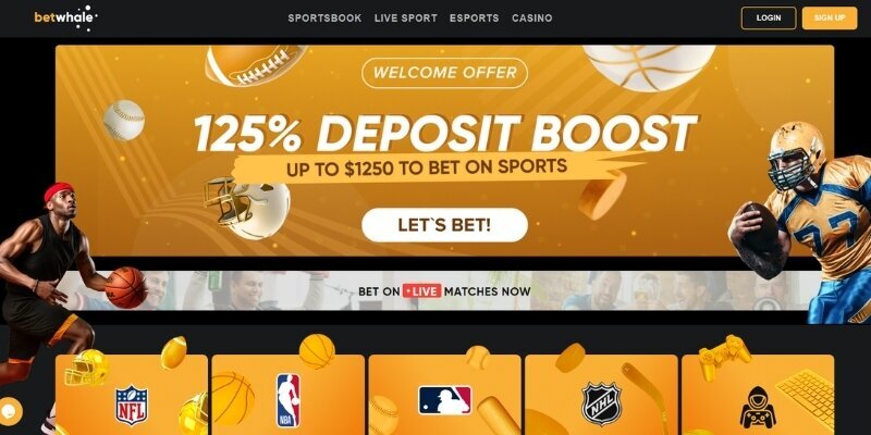 Limabet الإمارات دعم متعدد اللغات 24/7